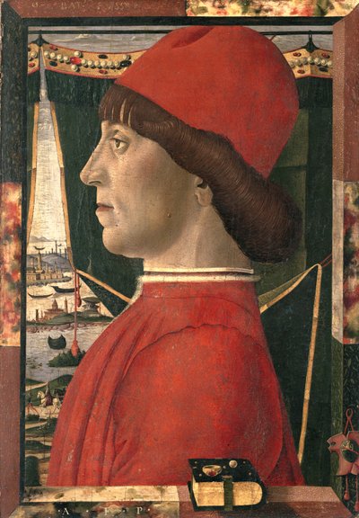 Ritratto di un giovane uomo da Baldassare d Este